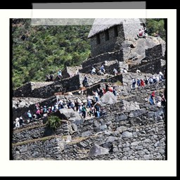 machu_picchu_388