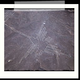 nazca_109