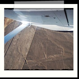 nazca_118