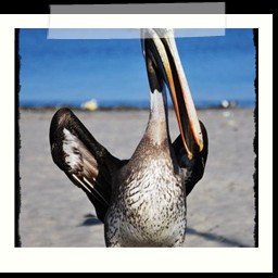 paracas_003