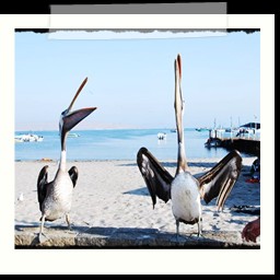 paracas_007
