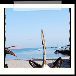paracas_008