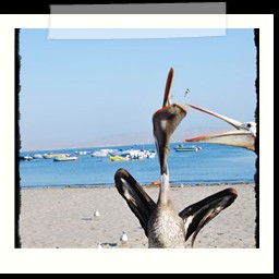 paracas_009