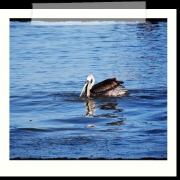 paracas_012