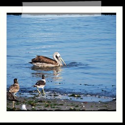paracas_015
