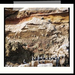 paracas_028