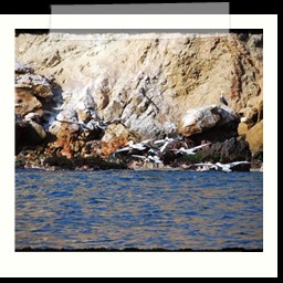 paracas_033