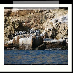 paracas_034