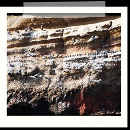 paracas_035