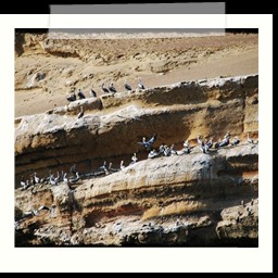 paracas_036