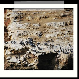 paracas_038