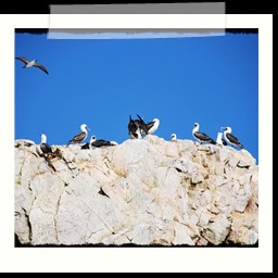 paracas_067