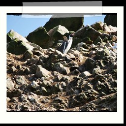 paracas_084