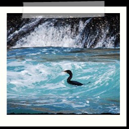 paracas_093