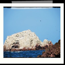 paracas_116