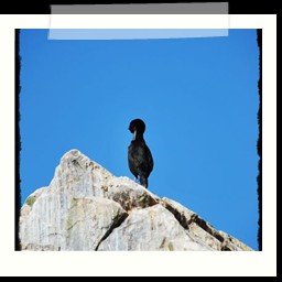 paracas_121