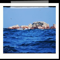 paracas_127