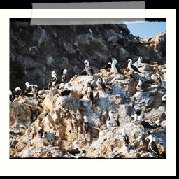 paracas_144