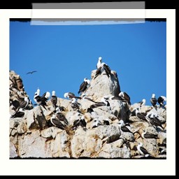 paracas_149