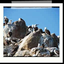 paracas_152