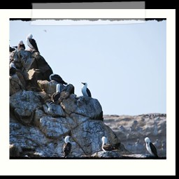 paracas_162