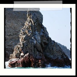 paracas_166