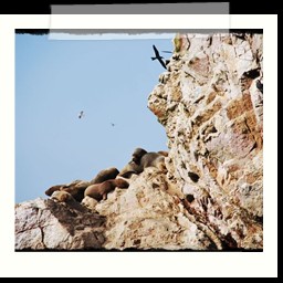 paracas_170
