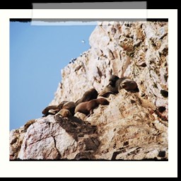 paracas_171