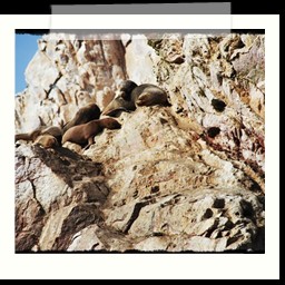 paracas_172