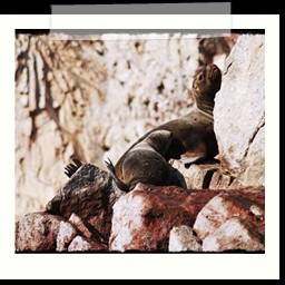 paracas_180