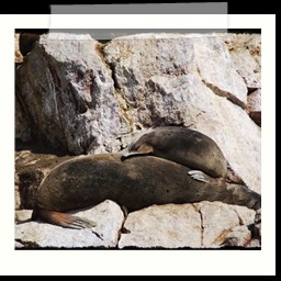 paracas_193