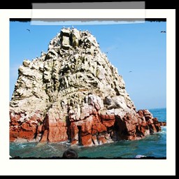 paracas_194