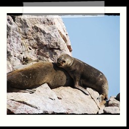paracas_199