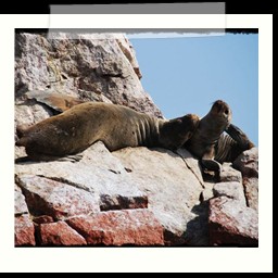 paracas_201