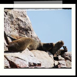 paracas_203