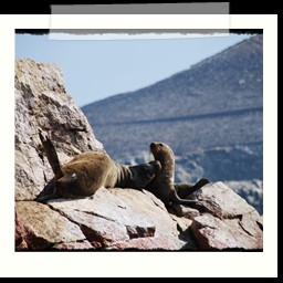 paracas_204