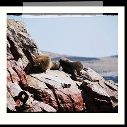 paracas_205