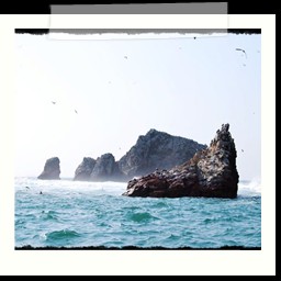 paracas_206