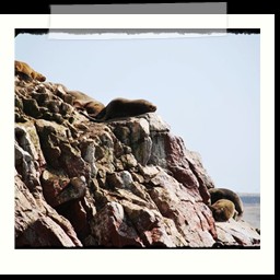 paracas_207
