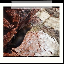 paracas_220
