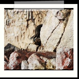 paracas_221