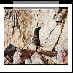paracas_222