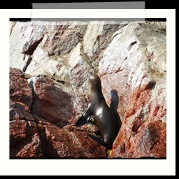 paracas_226