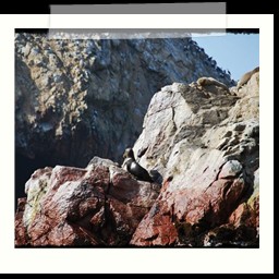 paracas_229