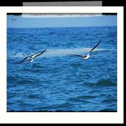 paracas_230