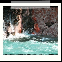 paracas_238