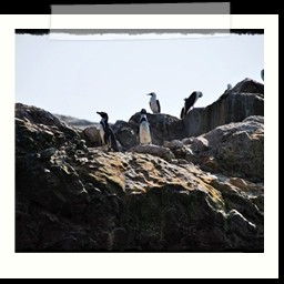paracas_244