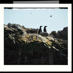 paracas_248