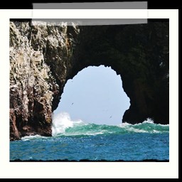 paracas_270
