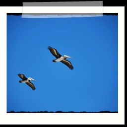 paracas_280